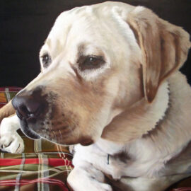 Pet Portrait Painting of Yellow Labrador by Artist Charles C. Clear III