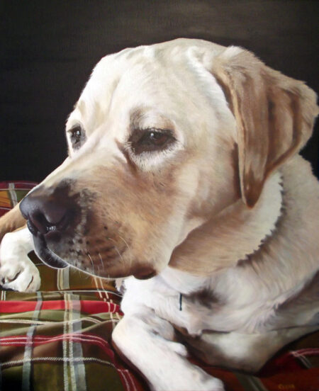 Pet Portrait Painting of Yellow Labrador by Artist Charles C. Clear III