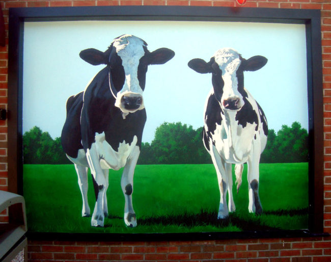 Bliss Dairy Cow Mural, 7' x 5, 2013, Bliss Restaurant and Dairy, Attleboro, Massachusetts, by Artists Charles C. Clear III and Bonnie Lee Turner