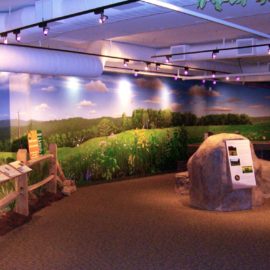 Science Museum Diorama Mural was painted in Science Center in New Jersey by Artist Charles C. Clear III of Ocean State Art