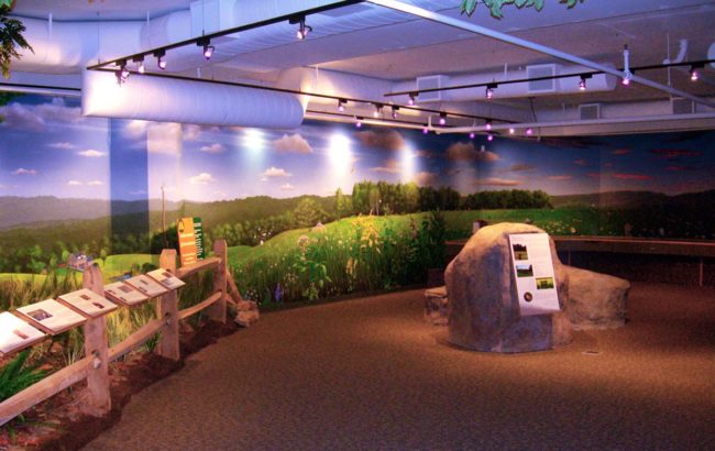 Science Museum Diorama Mural was painted in Science Center in New Jersey by Artist Charles C. Clear III of Ocean State Art