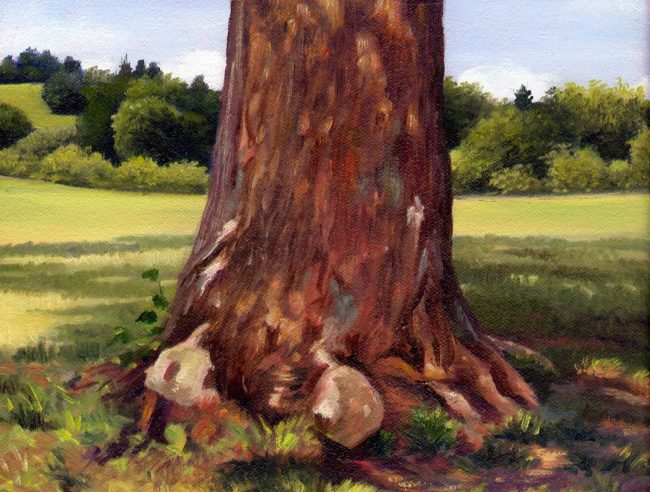 Sycamore Tree Study Painting, 12″ x 16“, Oil on Canvas, Chase Farm, Lincoln, Rhode Island, by Artist Charles C. Clear III