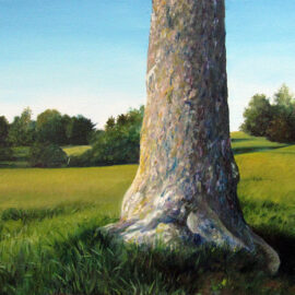 Sycamore Tree at Chase Farm Painting, 12″ x 16“, Oil on Canvas, by Artist Charles C. Clear III