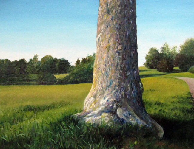 Sycamore Tree at Chase Farm Painting, 12″ x 16“, Oil on Canvas, by Artist Charles C. Clear III