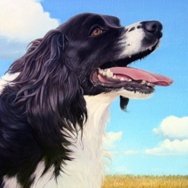 English Springer Spaniel Portrait Painting by Artist Charles C. Clear III