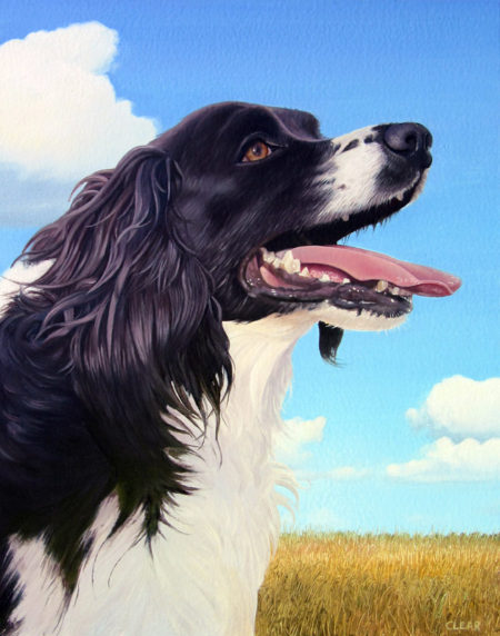 English Springer Spaniel Portrait Painting by Artist Charles C. Clear III