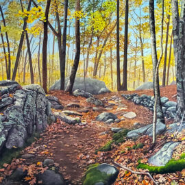 Commissioned oil painting of Wolf Hill Forest preserve in Smithfield Rhode Island by Artist Charles C. Clear III
