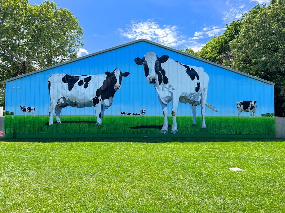 Giant Cows Painted on Barn by Mural Artists Charles C. Clear III and Bonnie Lee Turner
